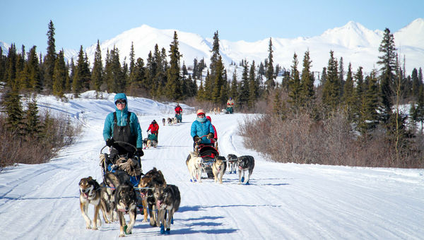 A womens-only dog-mushing tour near Cantwell, Alaska. led by Iditarod competitors Paige Drobny and Ryne Olson.