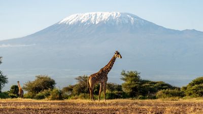 Abercrombie & Kent will open its new lodge near Mount Kilimanjaro.