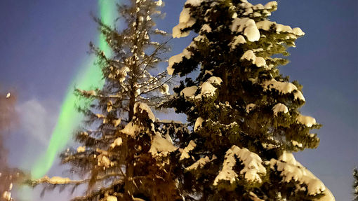 The northern lights put on a show in Fairbanks.