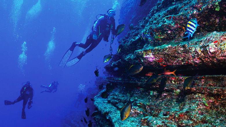 Divers explore the dramatic underwater geology of Lehua.