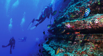 Divers explore the dramatic underwater geology of Lehua.