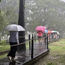 On the Mekong, a refreshing look at rainy season travel