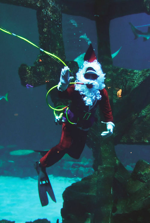 Santa Jaws in the Shark Reef at Mandalay Bay provides plenty of photo opportunities.