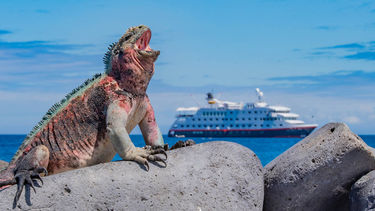 Sponsored: Hurtigruten Expeditions Grand Expeditions Brochure 2023-2024