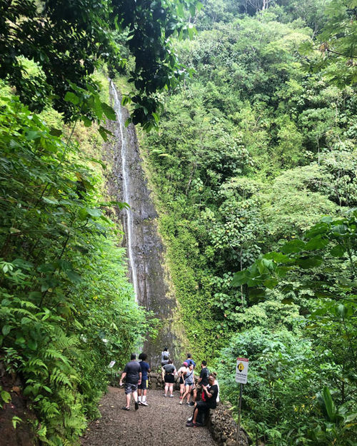 The Manoa Falls Trail is the quintessential Hawaii trail — perfect for first-time visitors.